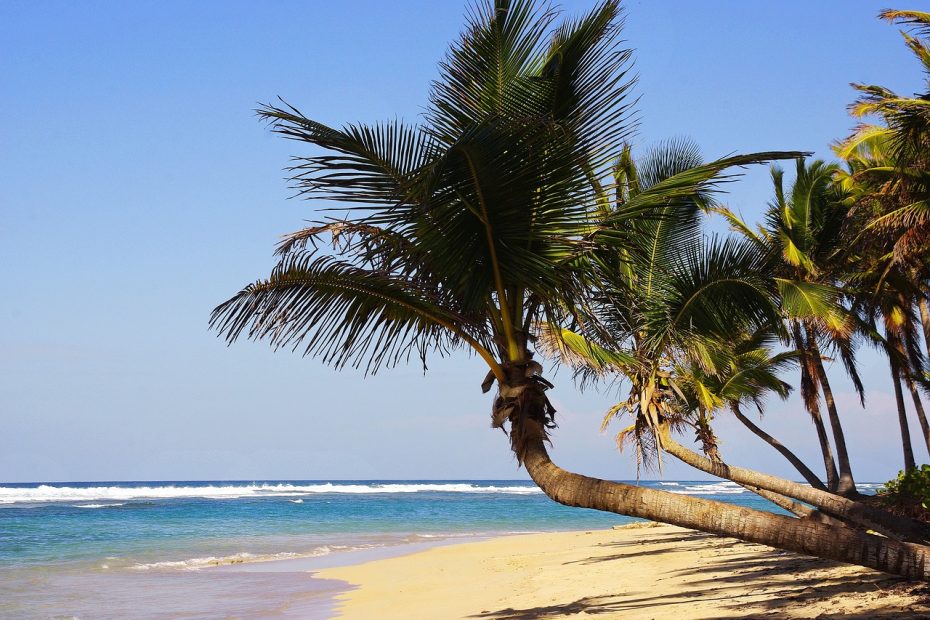 The 5 Best all inclusive spring break hotels in Punta Cana